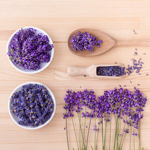 Flores de Lavanda