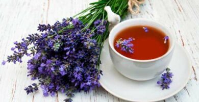 Hacer té de lavanda