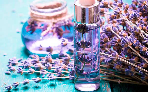hacer agua de lavanda