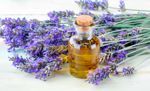 Aceite de lavanda
